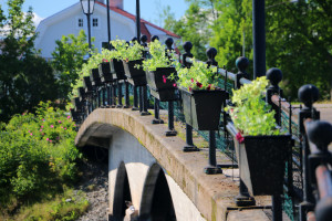 Nu har samtliga blomlådor fått nya sommarblommor planterade. Foto: Fredrik Norman