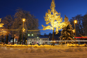 Flugparken i juleskrud. Foto: Fredrik Norman